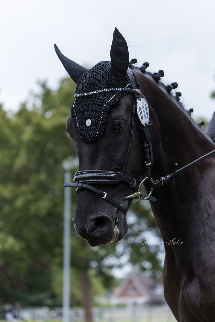 Bild 94 - Pony Akademie Turnier